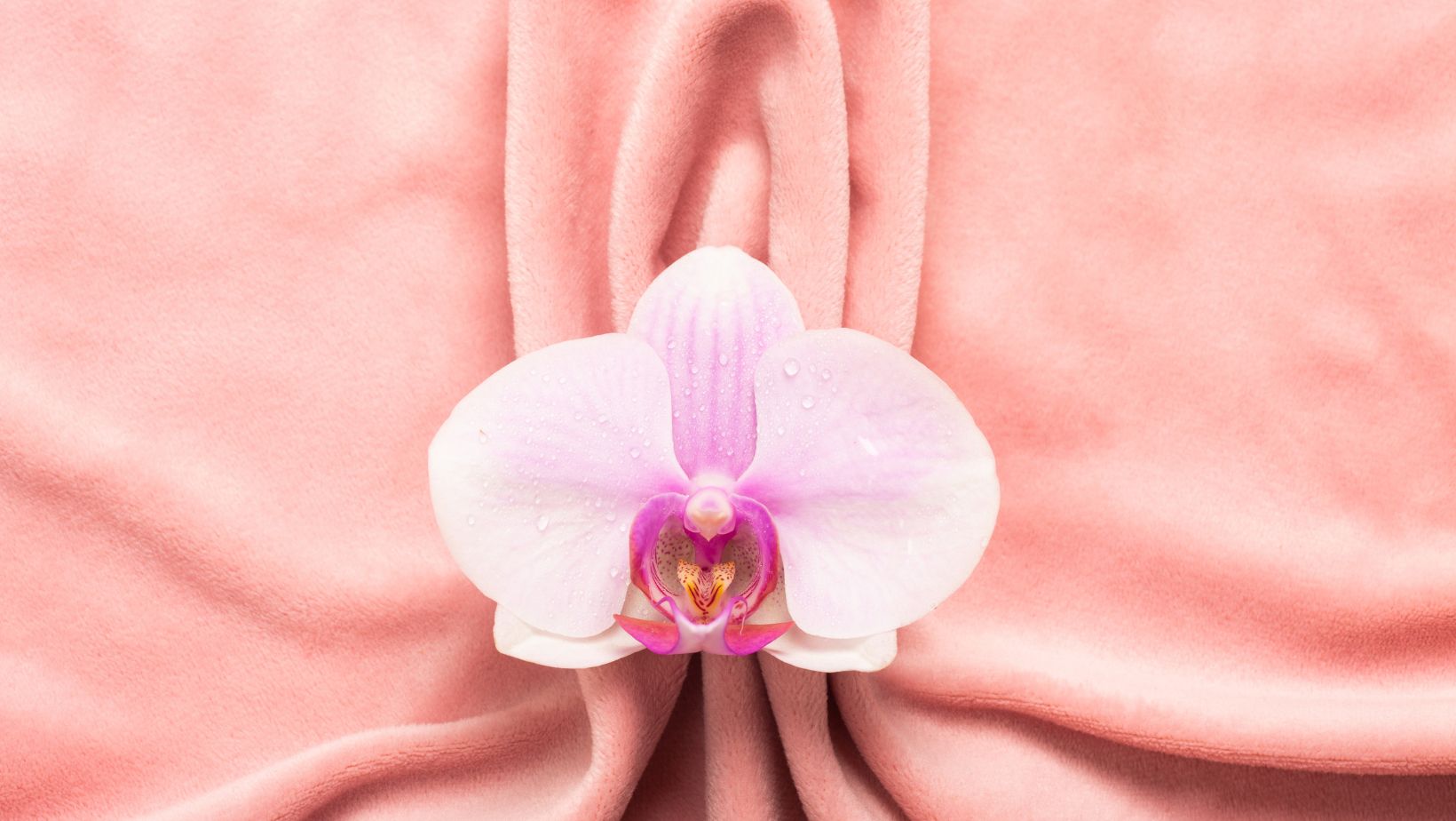 Image1