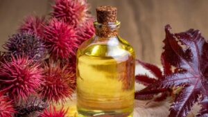Castor oil pack sitting on a wooden counter surrounded by castor oil leaves.